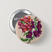 Wechseldrachen Button (Vorne & Hinten)