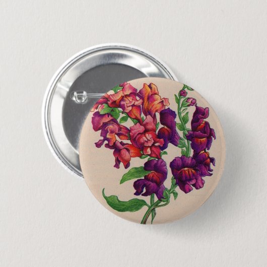 Wechseldrachen Button (Vorne & Hinten)