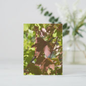 Wechseln der Herbstübergänge Postkarte (Stehend Vorderseite)