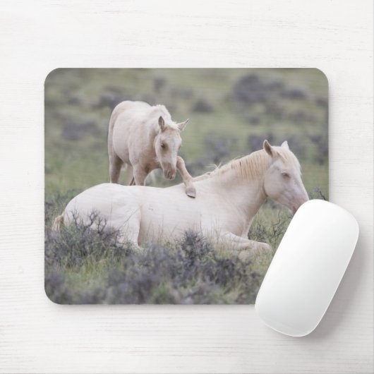 Weck Brother Mousepad (Mit Mouse)