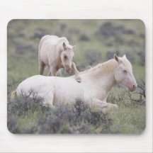 Weck Brother Mousepad