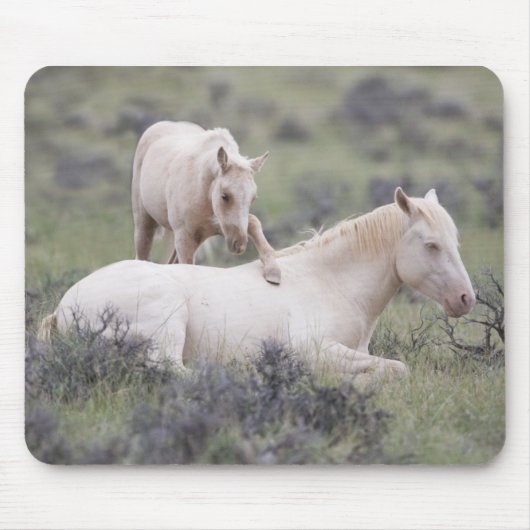 Weck Brother Mousepad (Vorne)