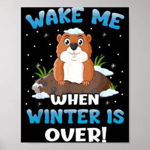 Weck mich, wenn der Winter vorbei ist Lustiger Wal Poster