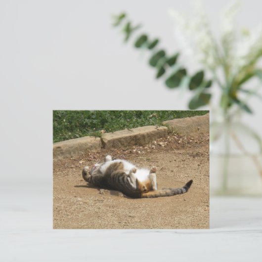 Weck Postkarte (Stehend Vorderseite)