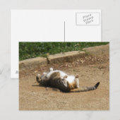 Weck Postkarte (Vorne/Hinten)