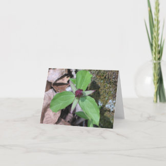 Wecken Sie besonders angefertigten Robin - Karte