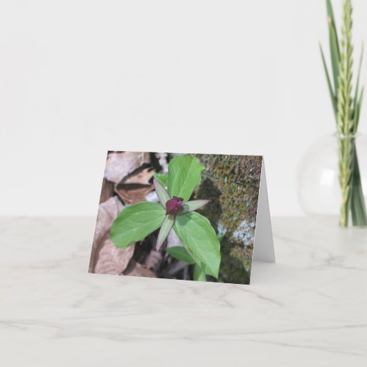 Wecken Sie besonders angefertigten Robin - Karte (Vorderseite)