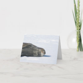 Weddell Siegel Card Feiertagskarte