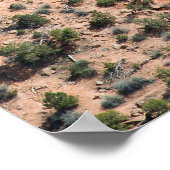 Wedding Canyon Poster (Ecke)