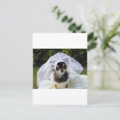 Wedding Chihuahua Bride Postkarte (Stehend Vorderseite)