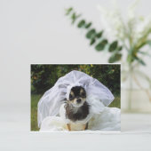 Wedding Chihuahua Bride Postkarte (Stehend Vorderseite)