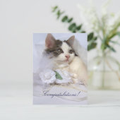 Wedding Kitten Postcard Postkarte (Stehend Vorderseite)