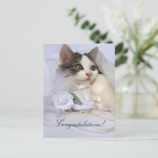 Wedding Kitten Postcard Postkarte (Stehend Vorderseite)