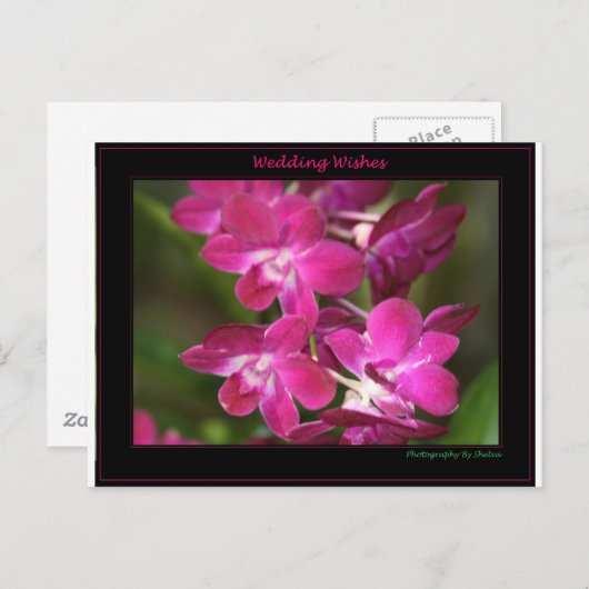 Wedding one postkarte (Vorne/Hinten)