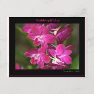 Wedding one postkarte