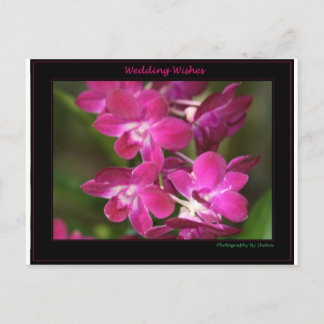 Wedding one postkarte