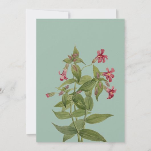 Wedding Reception Invitations  Einladung (Rückseite)