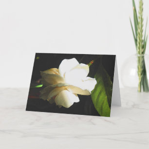 Wedding wohlriechende Elfenbeingardenia-Blüte Karte