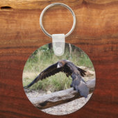 Wedge Schwanz Eagle Flying Schlüsselanhänger (Vorderseite)