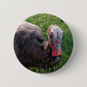 Wedrose Morgenknopf 1 Button