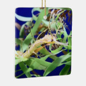 Weedy Sea Dragon Keramikornament (Rechts)