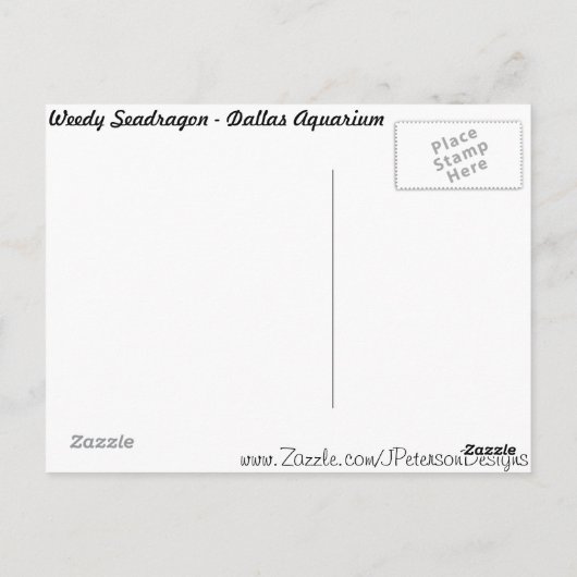 Weedy Seadragon # 2 Postkarte (Rückseite)