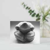 Weeping Buddha Postkarte (Stehend Vorderseite)