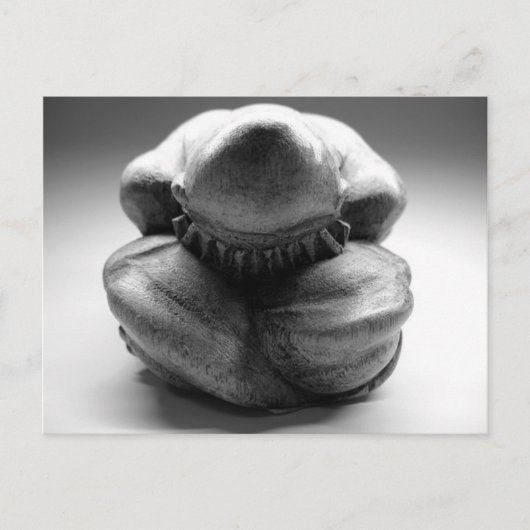 Weeping Buddha Postkarte (Vorderseite)