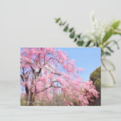 Weeping Cherry: Flat Card (Stehend Vorderseite)