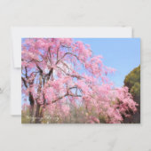 Weeping Cherry: Flat Card (Vorderseite)
