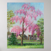 Weeping Cherry Poster (Vorne)
