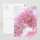 Weeping Cherry: Postkarte (Vorne/Hinten)