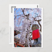 Weeping cherry tree ("Nara Ichiban-Zakura") ポストカード Postkarte (Vorne/Hinten)