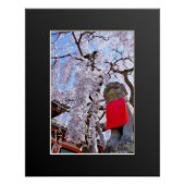 Weeping cherry tree ("Nara Ichiban-Zakura") Poster (Vorderseite)