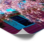 WEEPING CHERRY TREE-Plakat Poster (Ecke)