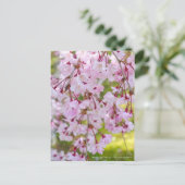 Weeping Cherry: Yae-benishidare Postkarte (Stehend Vorderseite)