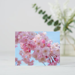 Weeping Cherry: Yae-benishidare Postkarte