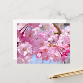 Weeping Cherry: Yae-benishidare Postkarte