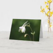 Weeping Columbine Sympathy Card Karte (Gelbe Blume)