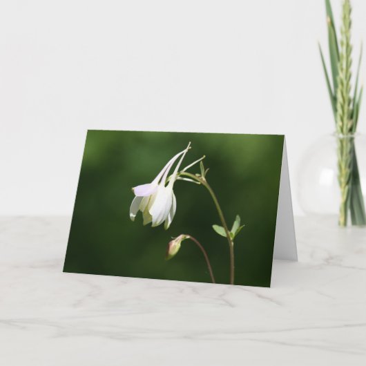Weeping Columbine Sympathy Card Karte (Vorderseite)