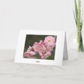 Weeping Japanese Apricot Karte (Rückseite)