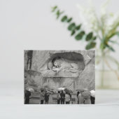 Weeping Lion Postcard Postkarte (Stehend Vorderseite)