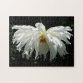 Weeping White Dahlia Puzzle (Horizontal)