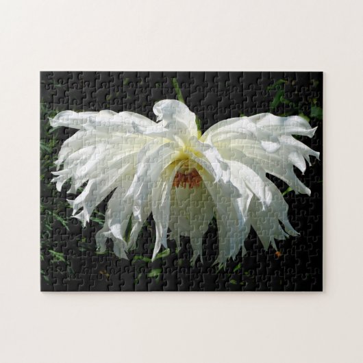 Weeping White Dahlia Puzzle (Horizontal)