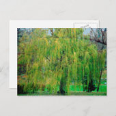 Weeping Willow Postcard Postkarte (Vorne/Hinten)