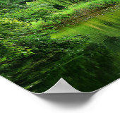 Weeping Willow Poster (Ecke)