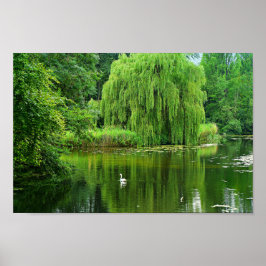 Weeping Willow Poster