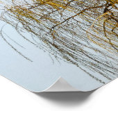 Weeping Willow Poster (Ecke)