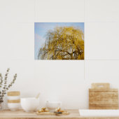Weeping Willow Poster (Küche)