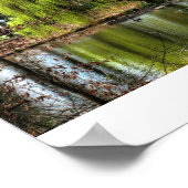 Weeping Willow Poster (Ecke)